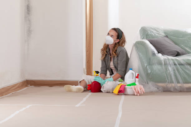 Reliable Mold Testing contractor in Belmont, MA by WQB Mold Removal